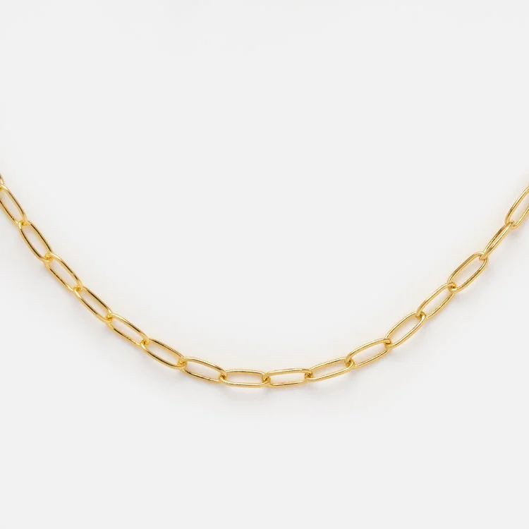 women's nature-inspired necklace -Vermeil Paperclip Necklace