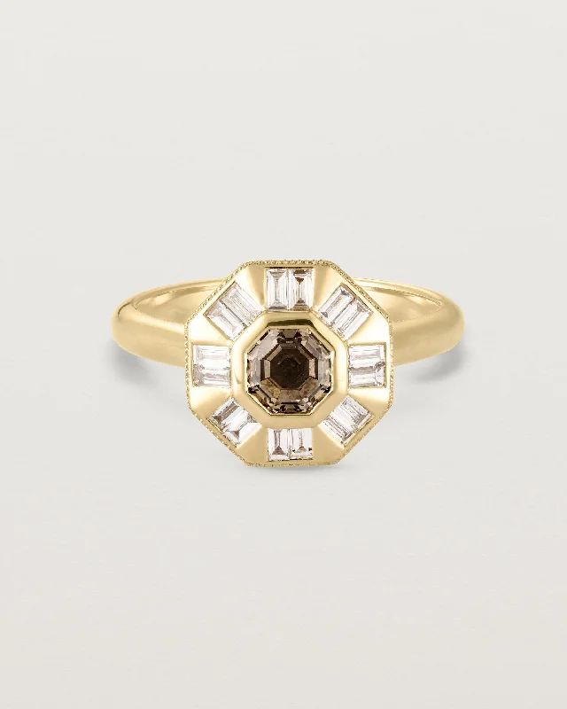 gemstone engagement rings for women -Eileen Halo Ring | Argyle Diamond